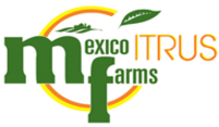 Mexico Citrus Farms